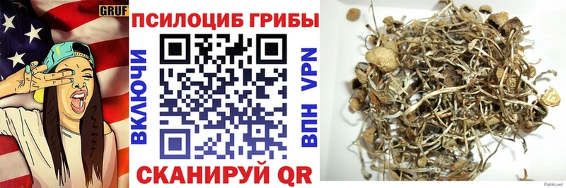 Галлюциногенные грибы Psilocybe  Наро-Фоминск 